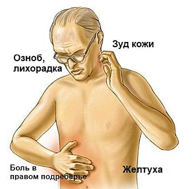 546848486648
