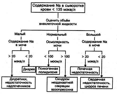 5468486486