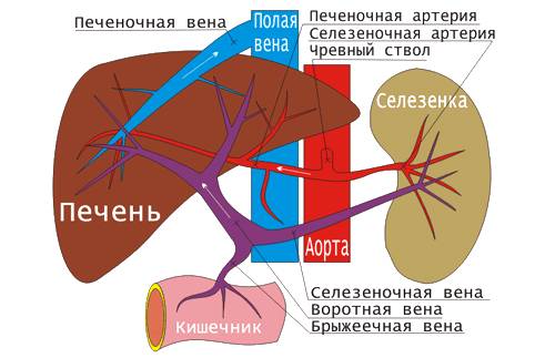 5468486884