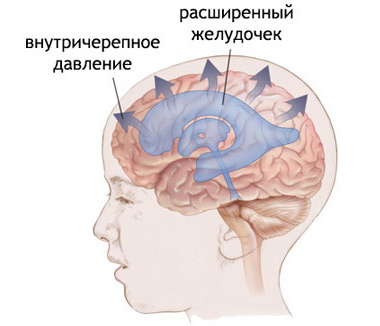 546884486