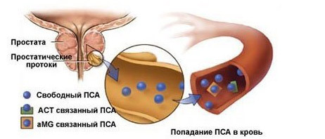 546884648