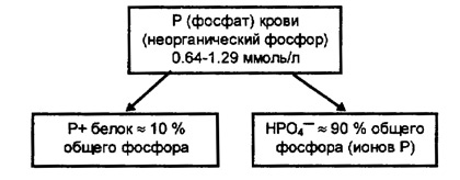 54688644686