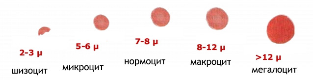 546886486
