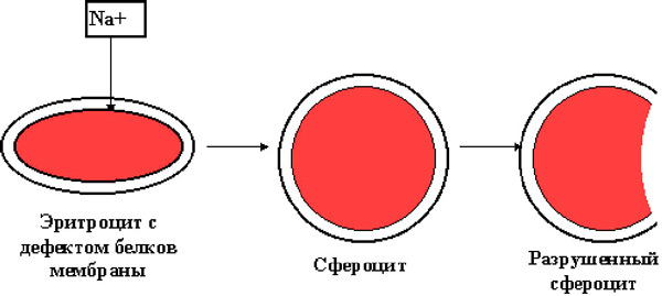 54884846648