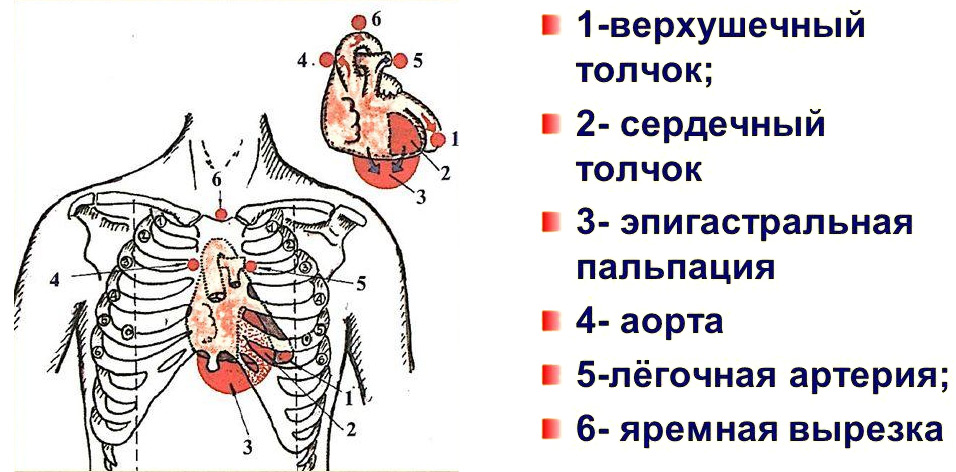 568486684