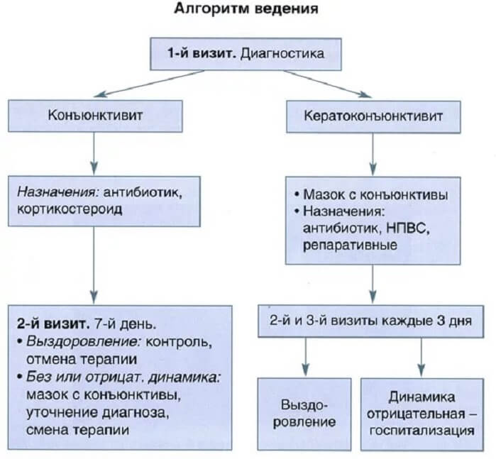 Алгоритм ведения заболеваний