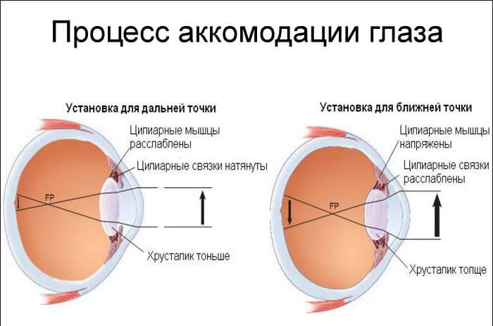 Процесс аккомодации