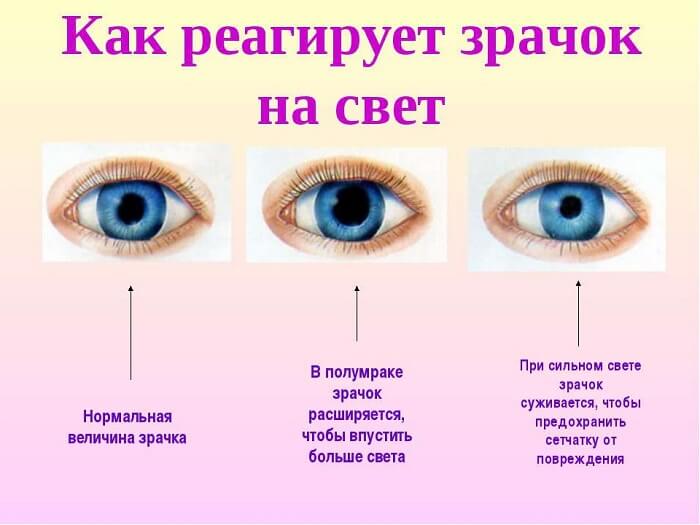 Реакция на свет