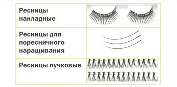 Виды ресниц