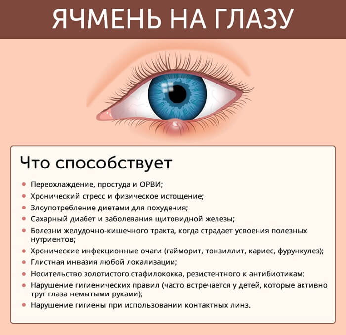 Что способствует развитию